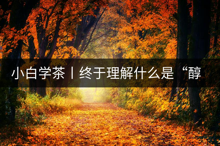 小白學(xué)茶丨終于理解什么是“醇厚、耐泡，回甘”了