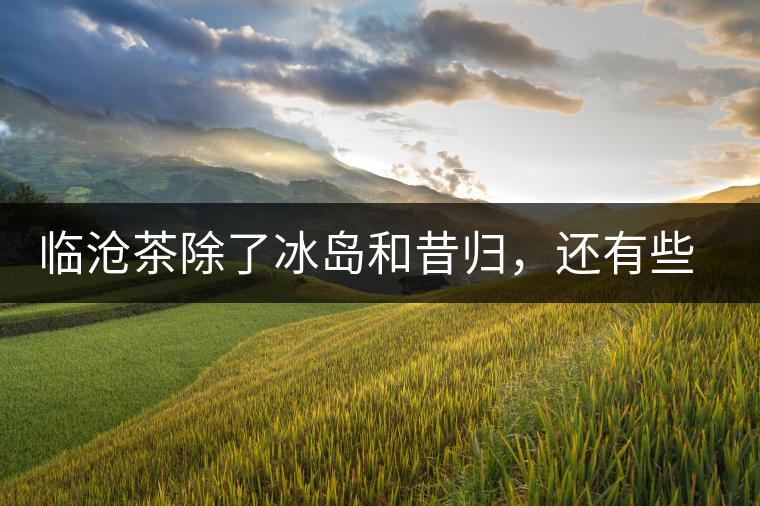 臨滄茶除了冰島和昔歸，還有些什么？