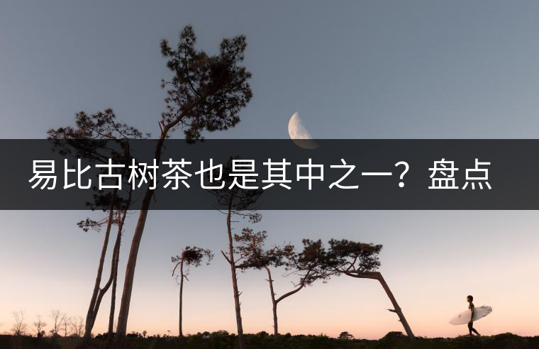 易比古樹(shù)茶也是其中之一？盤(pán)點(diǎn)當(dāng)下易武最火的十大古樹(shù)茶！