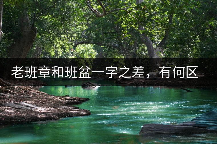 老班章和班盆一字之差，有何區(qū)別