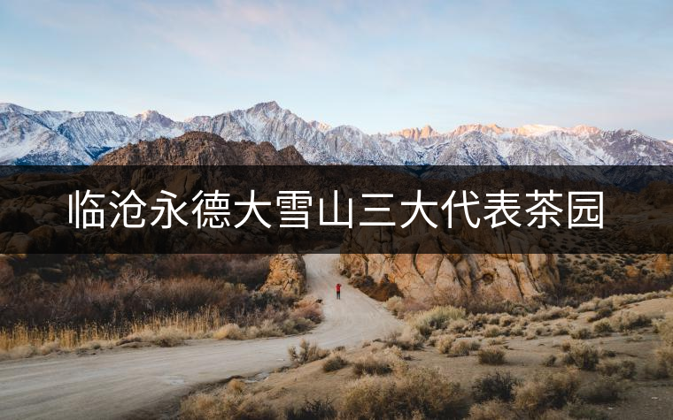 臨滄永德大雪山三大代表茶園