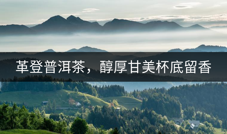 革登普洱茶，醇厚甘美杯底留香