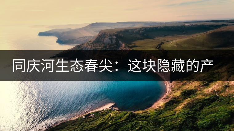 同慶河生態(tài)春尖：這塊隱藏的產(chǎn)茶圣地，你知道嗎？