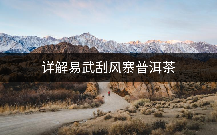 詳解易武刮風(fēng)寨普洱茶 詳解易武刮風(fēng)寨普洱茶