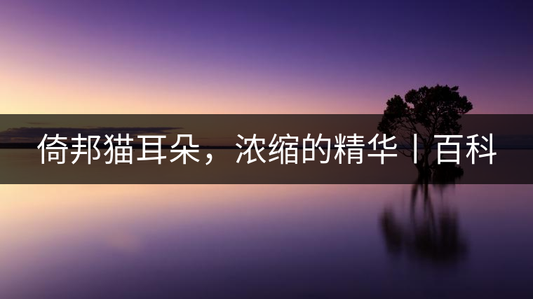 倚邦貓耳朵，濃縮的精華丨百科