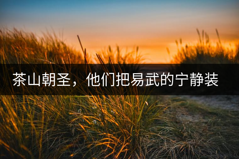 茶山朝圣，他們把易武的寧靜裝進(jìn)心里，卻把成堆垃圾留在