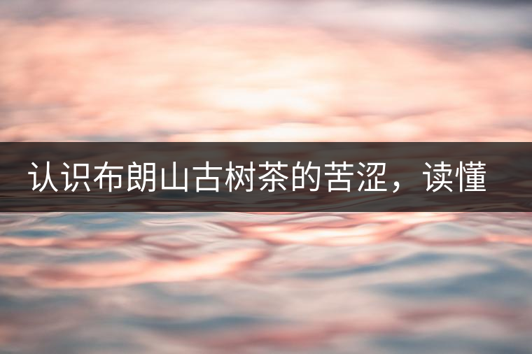 認(rèn)識(shí)布朗山古樹茶的苦澀，讀懂勐海普洱茶