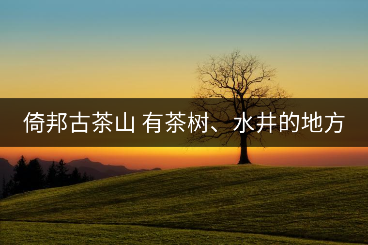 倚邦古茶山 有茶樹、水井的地方