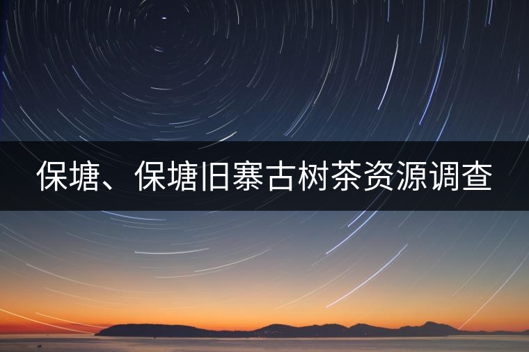保塘、保塘舊寨古樹(shù)茶資源調(diào)查