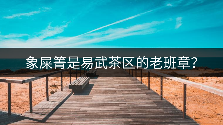 象屎箐是易武茶區(qū)的老班章？