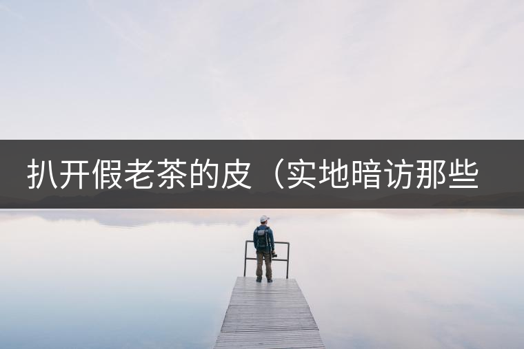 扒開(kāi)假老茶的皮（實(shí)地暗訪(fǎng)那些千奇百怪的假老茶）
