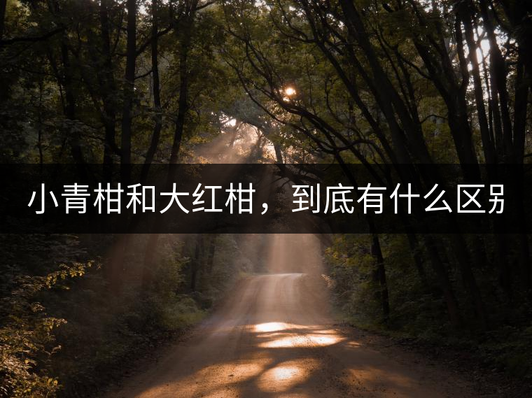 小青柑和大紅柑，到底有什么區(qū)別？