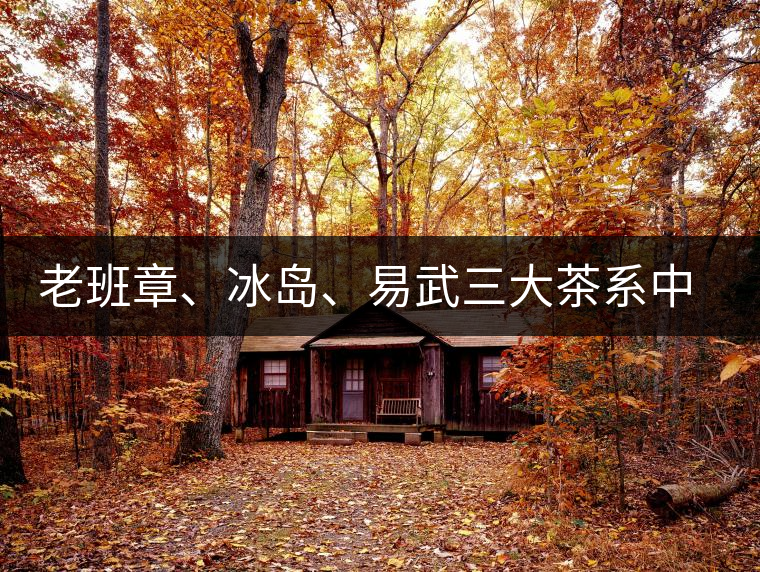 老班章、冰島、易武三大茶系中，“潛力股”為何是易武？