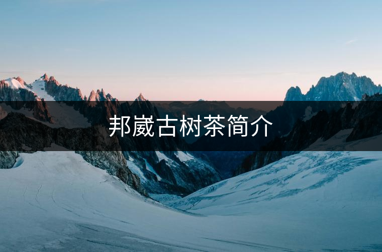 邦崴古樹茶簡介 邦崴古樹茶簡介