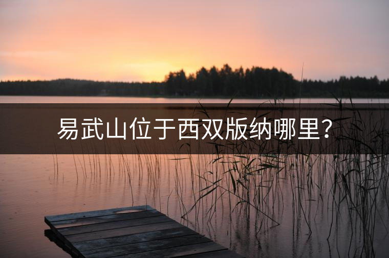 易武山位于西雙版納哪里？