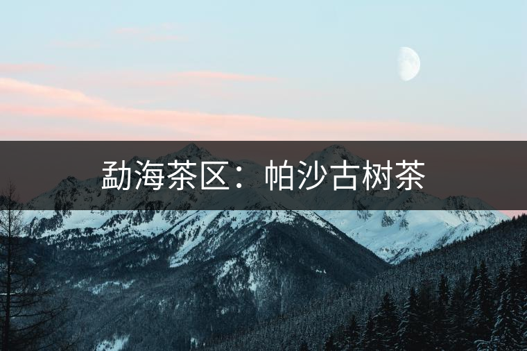 勐海茶區(qū):帕沙古樹茶 勐海茶區(qū):帕沙古樹茶