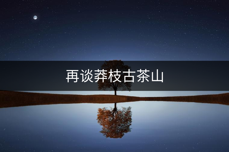 再談莽枝古茶山 再談莽枝古茶山