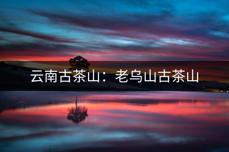云南古茶山:老烏山古茶山 云南古茶山:老烏山古茶山