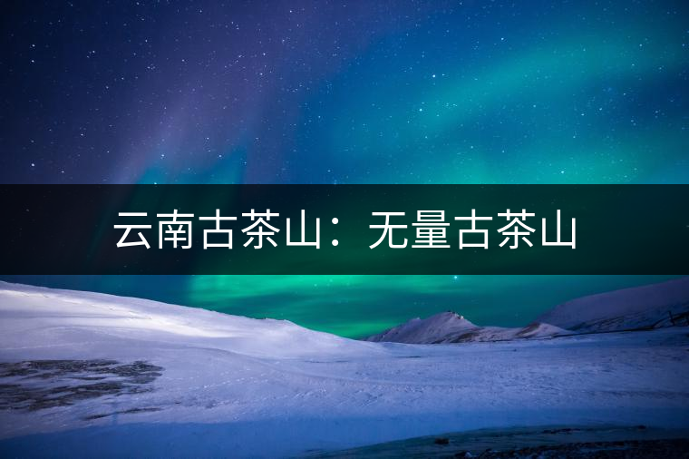 云南古茶山:無(wú)量古茶山 云南古茶山:無(wú)量古茶山