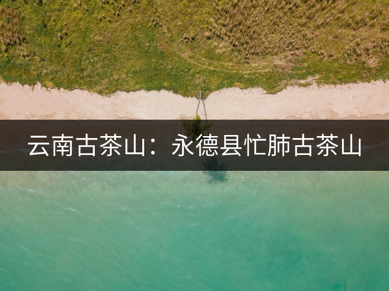 云南古茶山:永德縣忙肺古茶山 云南古茶山:永德縣忙肺古茶山