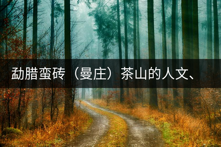 勐臘蠻磚（曼莊）茶山的人文、生態(tài)