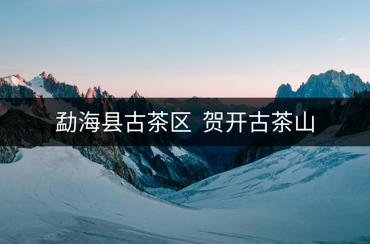 勐?？h古茶區(qū)  賀開古茶山