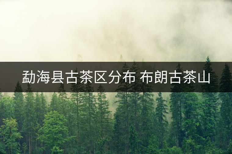 勐海縣古茶區(qū)分布 布朗古茶山