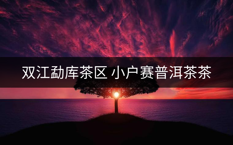 雙江勐庫茶區(qū) 小戶賽普洱茶茶 雙江勐庫茶區(qū) 小戶賽普洱茶茶