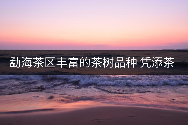 勐海茶區(qū)豐富的茶樹品種 憑添茶林的多姿風(fēng)彩 勐海茶區(qū)豐富的茶樹品種 憑添茶林的多姿風(fēng)彩