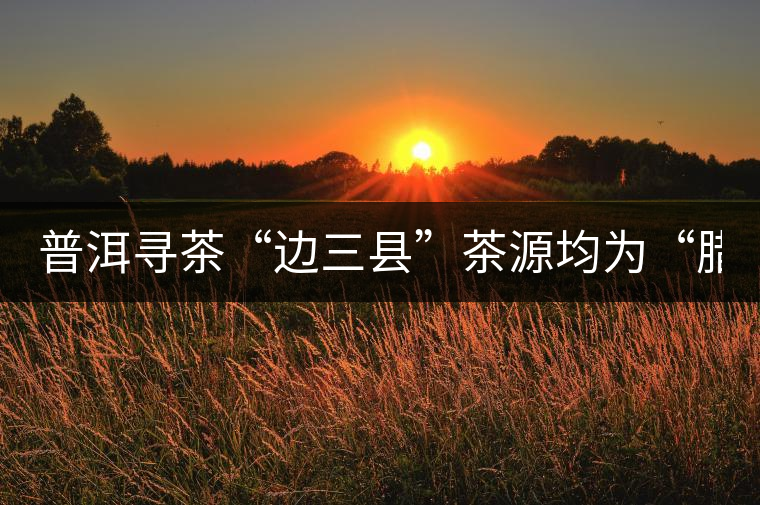 普洱尋茶“邊三縣”茶源均為“臘”