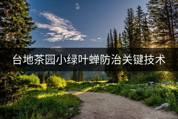 臺地茶園小綠葉蟬防治關(guān)鍵技術(shù)