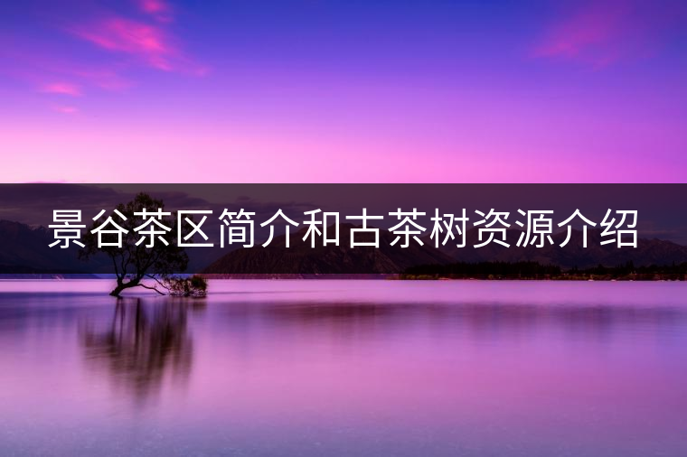 景谷茶區(qū)簡(jiǎn)介和古茶樹資源介紹 景谷茶區(qū)簡(jiǎn)介和古茶樹資源介紹
