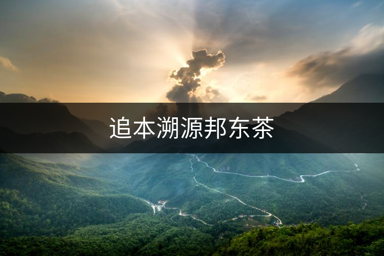 追本溯源邦東茶