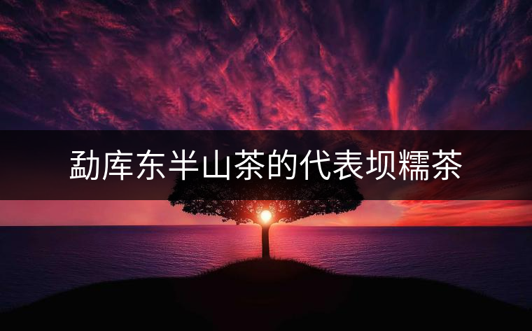 勐庫東半山茶的代表壩糯茶 勐庫東半山茶的代表壩糯茶
