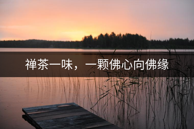 禪茶一味，一顆佛心向佛緣