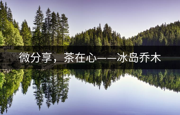 微分享，茶在心——冰島喬木