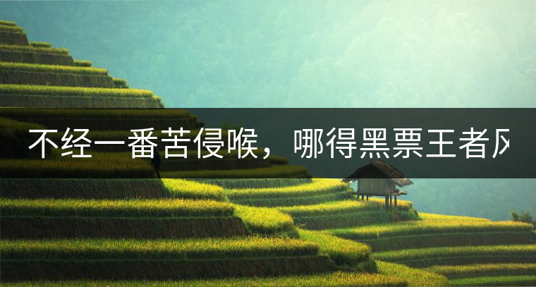 不經(jīng)一番苦侵喉，哪得黑票王者風(fēng)！