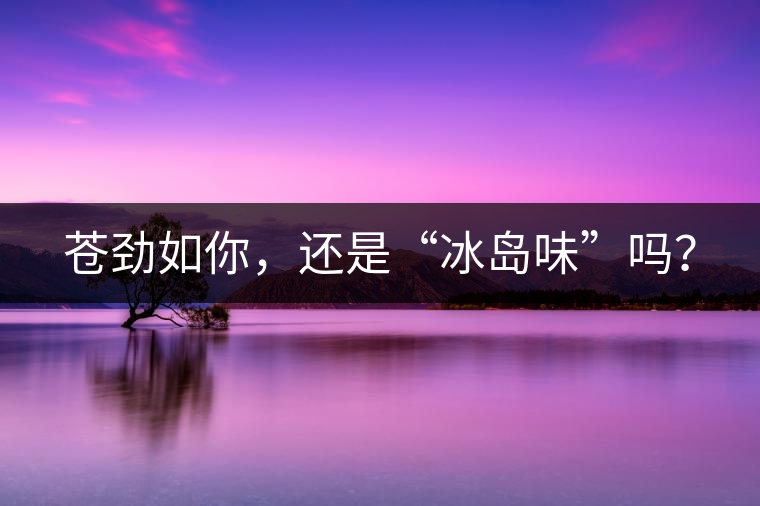蒼勁如你，還是“冰島味”嗎？