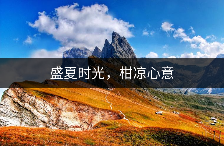 盛夏時光，柑涼心意