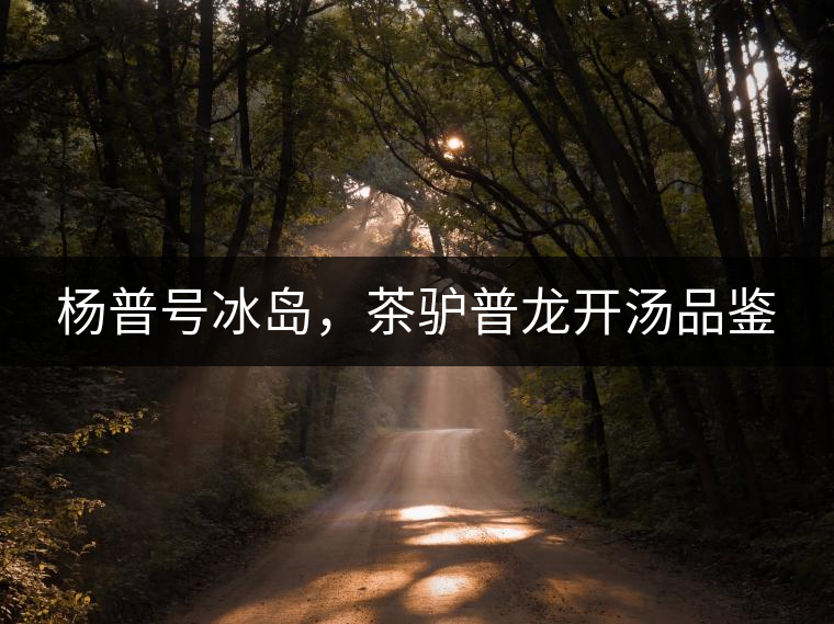 楊普號(hào)冰島，茶驢普龍開(kāi)湯品鑒