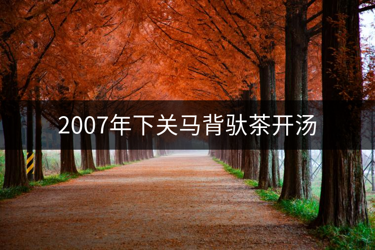 2007年下關(guān)馬背馱茶開(kāi)湯 2007年下關(guān)馬背馱茶開(kāi)湯