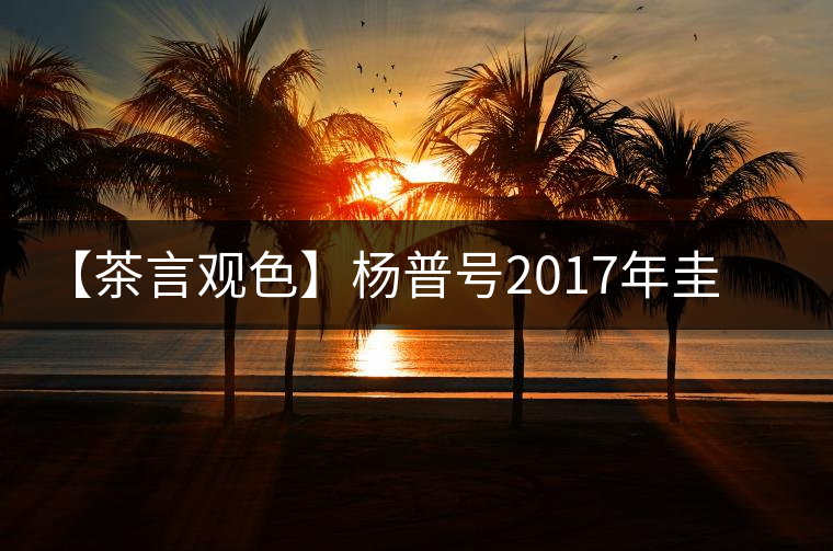 【茶言觀色】楊普號2017年圭臬·同慶河 【茶言觀色】楊普號2017年圭臬·同慶河