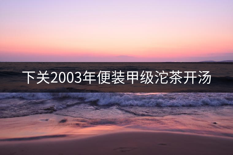 下關2003年便裝甲級沱茶開湯