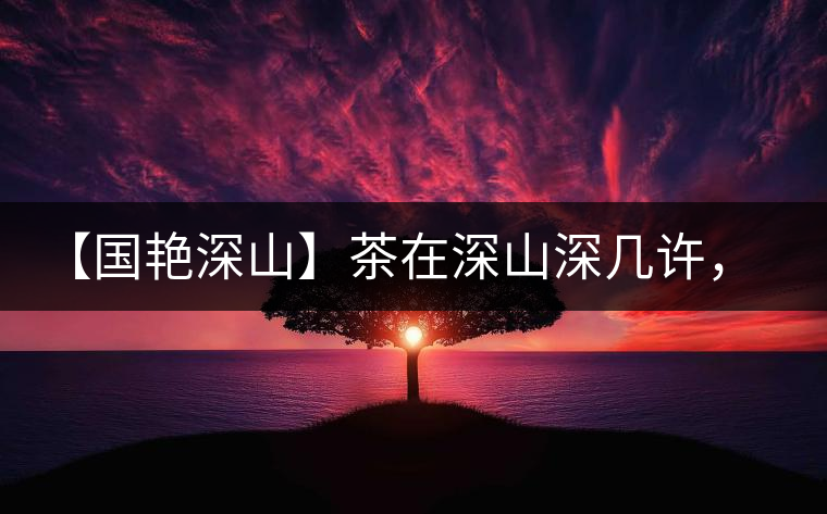 【國艷深山】茶在深山深幾許，布朗味釅釅幾分！