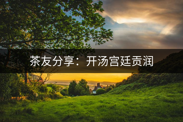 茶友分享:開湯宮廷貢潤(rùn) 茶友分享:開湯宮廷貢潤(rùn)