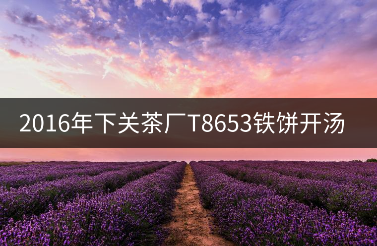 2016年下關(guān)茶廠T8653鐵餅開湯賞析 2016年下關(guān)茶廠T8653鐵餅開湯賞析