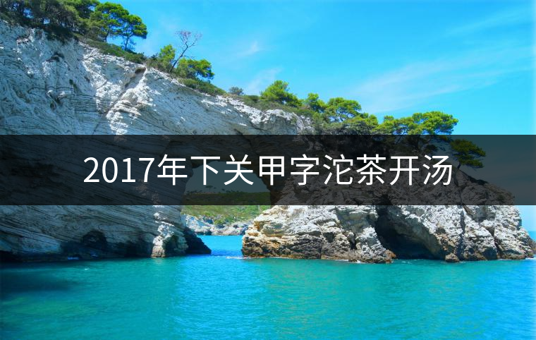 2017年下關(guān)甲字沱茶開湯 2017年下關(guān)甲字沱茶開湯