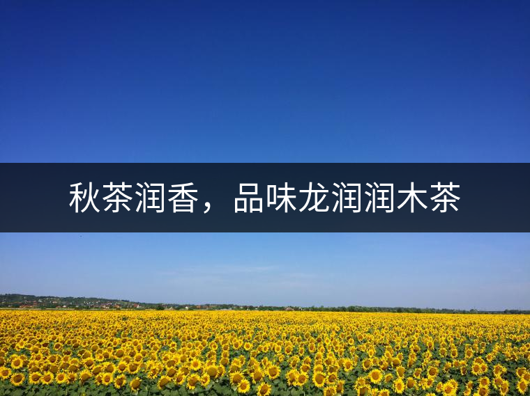 秋茶潤香，品味龍潤潤木茶