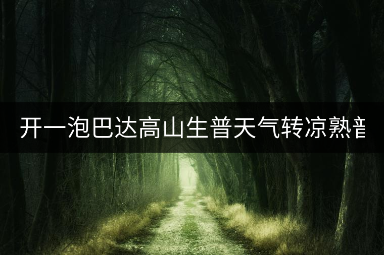 開一泡巴達高山生普天氣轉涼熟普又喝不慣，找到了這款2014巴達