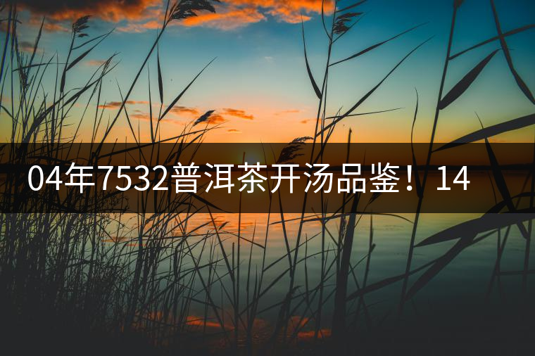 04年7532普洱茶開(kāi)湯品鑒！14年轉(zhuǎn)化，經(jīng)典雪印配方！